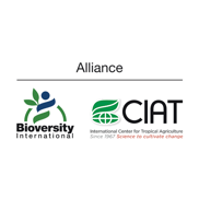 Bioversity-Ciat f4e