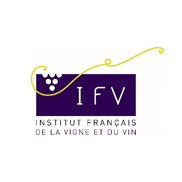 Institut-Francais-de-la-Vigne-et-du-Vin-IFV_57_Vineyard_France-2